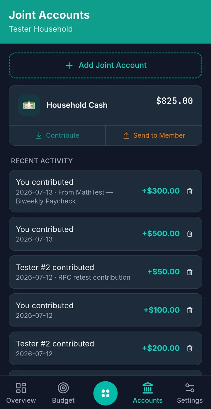 Duezy joint household accounts in dark mode with member contributions